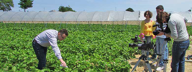 Asistencia técnica e investigación|Amblyseius cucumeris|Aphidius ervi|Aphidoletes aphidimyza|Orius laevigatus|Phytoseiulus persimilis|OAAA